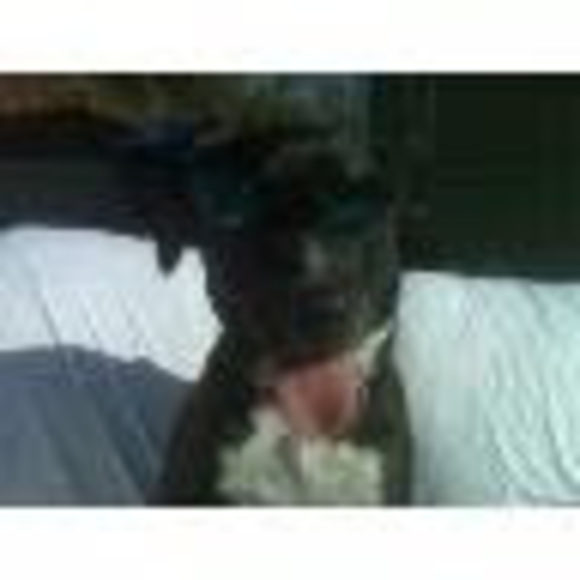 Meet your Posher, Tyler - Picture 1 of 1